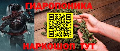 шишки Старая Купавна