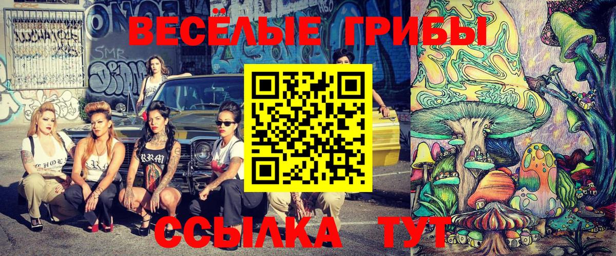 Галлюциногенные грибы Psilocybe Тюмень